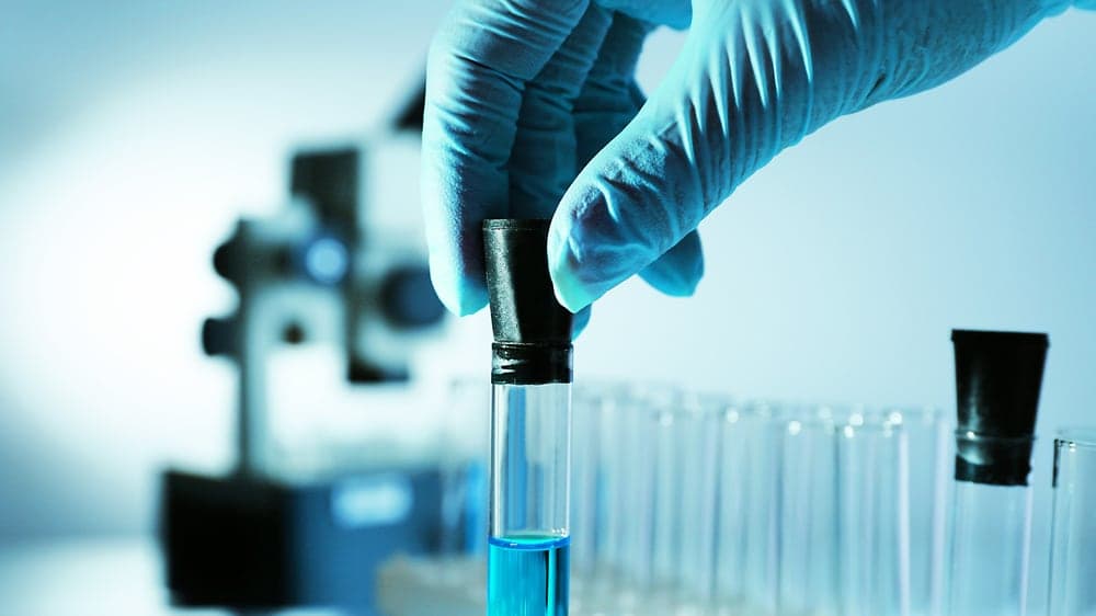 Laboratory visual
